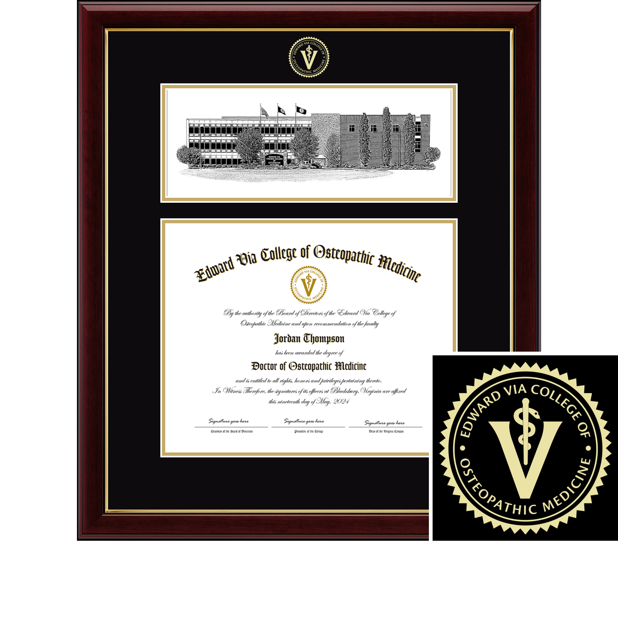 Doctor Of Medicine Diploma Frame