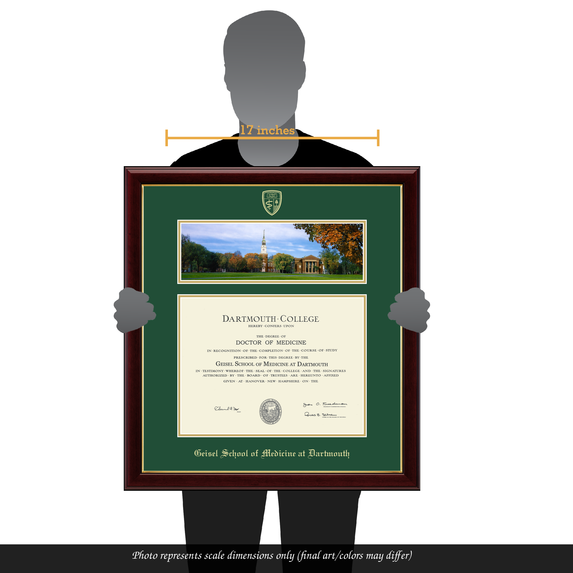 Doctor Of Medicine Diploma Frame